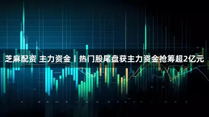 芝麻配资 主力资金丨热门股尾盘获主力资金抢筹超2亿元